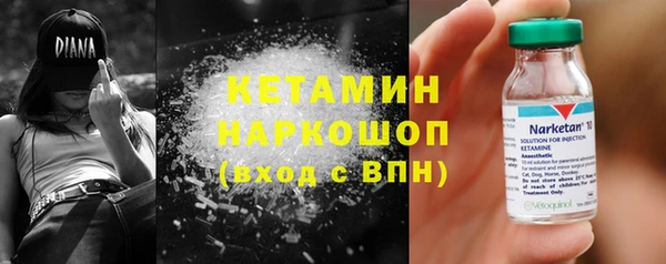 крисы Коряжма