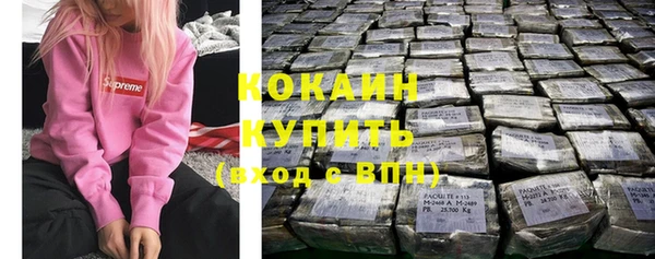 крисы Коряжма