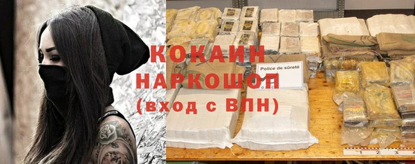 крисы Коряжма