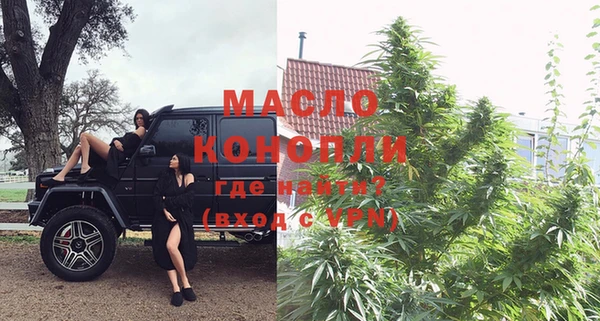 крисы Коряжма