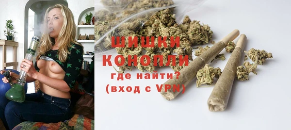 соль ск Ладушкин